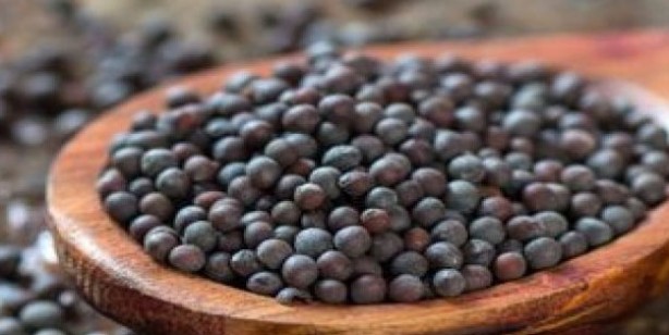 Siyah hardal tohumu kendine hayran bırakıyor! 1 tutamı bile bakın ne yapıyor... O sorunu son buldu!