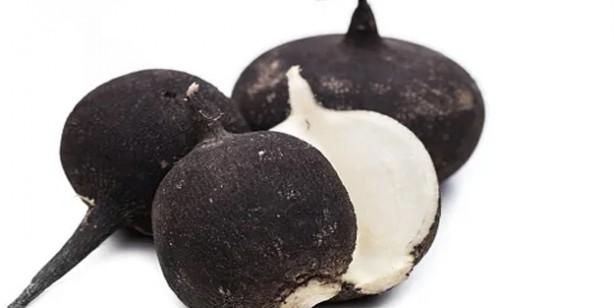 Foto - Siyah turp bu faydasını duyan şaşırdı, yok artık dedirtti! Siyah ve beyaz aralarında fark var! Turp neye iyi gelir? 