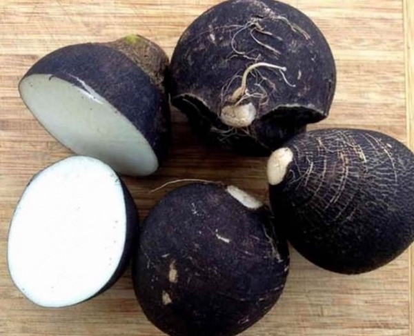 Foto - Siyah turp ve bal mucizesi