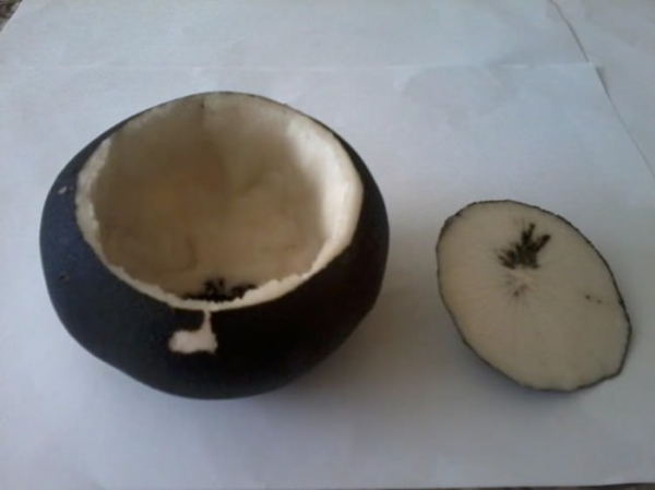 Foto - Siyah turp ve bal mucizesi