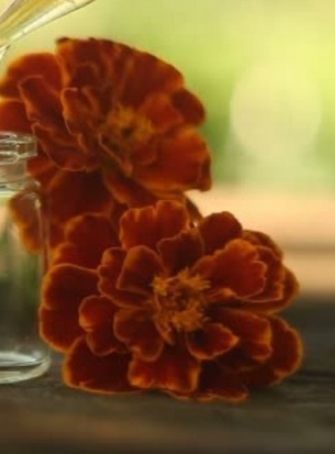 Foto - Siyatik ağrısını hafifleten 5 doğal yöntem! Gece gündüz ağları adeta siliyor! Bıçak gibi kesiyor...