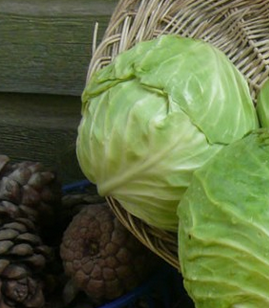 Foto - Siyatik ağrısını hafifleten 5 doğal yöntem! Gece gündüz ağları adeta siliyor! Bıçak gibi kesiyor...