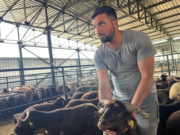 Foto - Siz daha önce böyle bir koç gördünüz mü? 