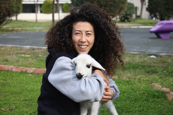 Foto - Siz hiç spor yapan kuzu gördünüz mü? 