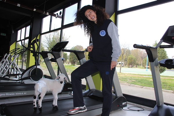 Foto - Siz hiç spor yapan kuzu gördünüz mü? 