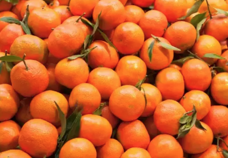 Foto - Siz mandalina kabuklarını çöpe mi atıyorsunuz yoksa? Bakın ne oluyor! Akılalmaz olay