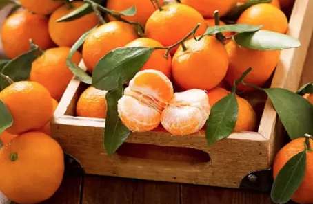 Foto - Siz mandalina kabuklarını çöpe mi atıyorsunuz yoksa? Bakın ne oluyor! Akılalmaz olay