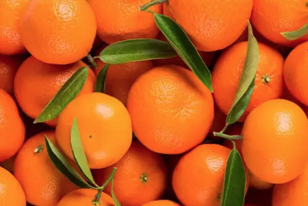 Foto - Siz mandalina kabuklarını çöpe mi atıyorsunuz yoksa? Bakın ne oluyor! Akılalmaz olay