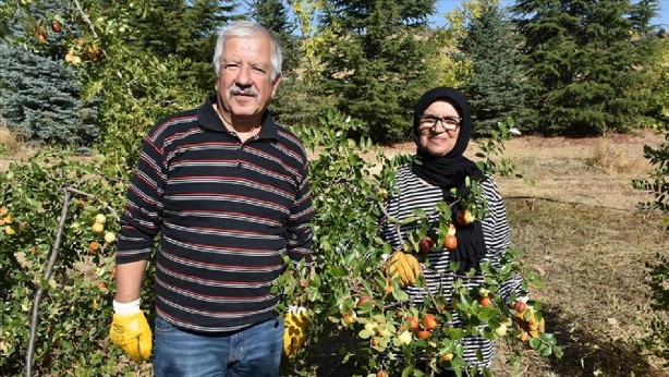 Siz ne yaptınız böyle bey amca, hanım teyze! Olacak iş değil! Duyanın ağzı bir karış açık kaldı