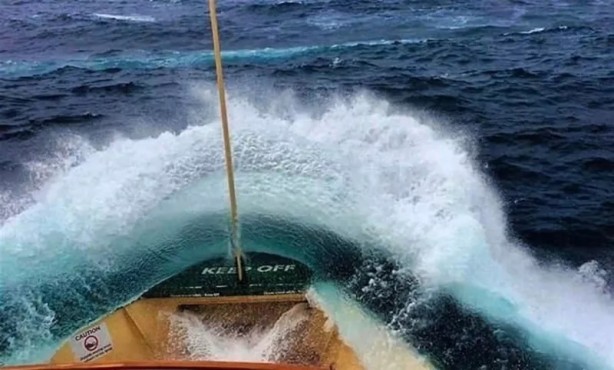 Foto - Siz olsaydınız ne yapardınız? Denizde korku filmi gibi görüntüler