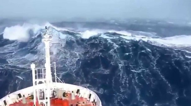 Siz olsaydınız ne yapardınız? Denizde korku filmi gibi görüntüler