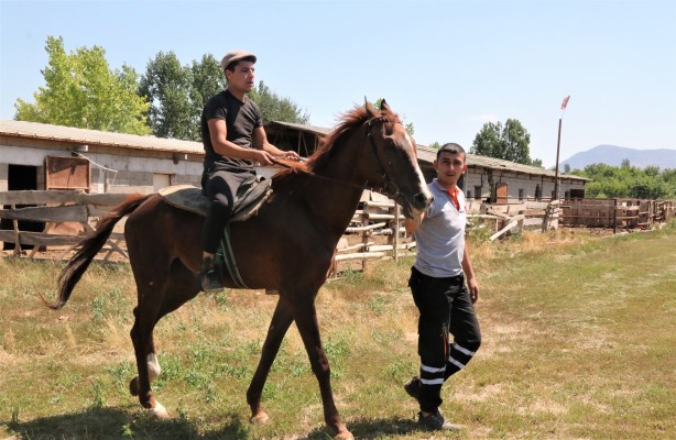 Foto - Siz siz olun bu hatalara düşmeyin! Bataklıktan çıkmak isteyenler akın ediyor
