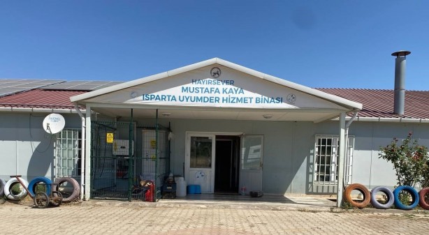 Foto - Siz siz olun bu hatalara düşmeyin! Bataklıktan çıkmak isteyenler akın ediyor