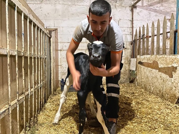 Foto - Siz siz olun bu hatalara düşmeyin! Bataklıktan çıkmak isteyenler akın ediyor