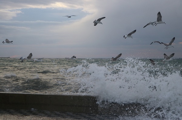 Foto - Siz siz olun çok dikkat edin! Lodos ölüm saçıyor