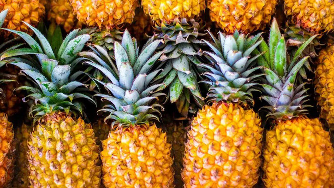 Foto - Siz siz olun sakın çöpe atmayın! Ananasın sapındaki gizli hazine