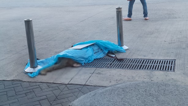 Foto - Sizde hiç mi akıl yok? Otobüsün bagajında bakın ne taşıdılar