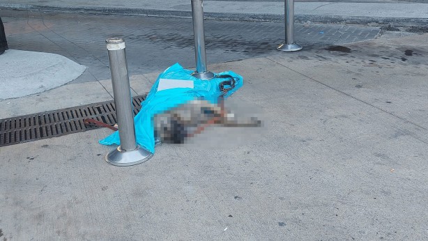 Foto - Sizde hiç mi akıl yok? Otobüsün bagajında bakın ne taşıdılar