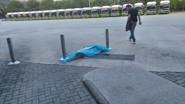 Sizde hiç mi akıl yok? Otobüsün bagajında bakın ne taşıdılar