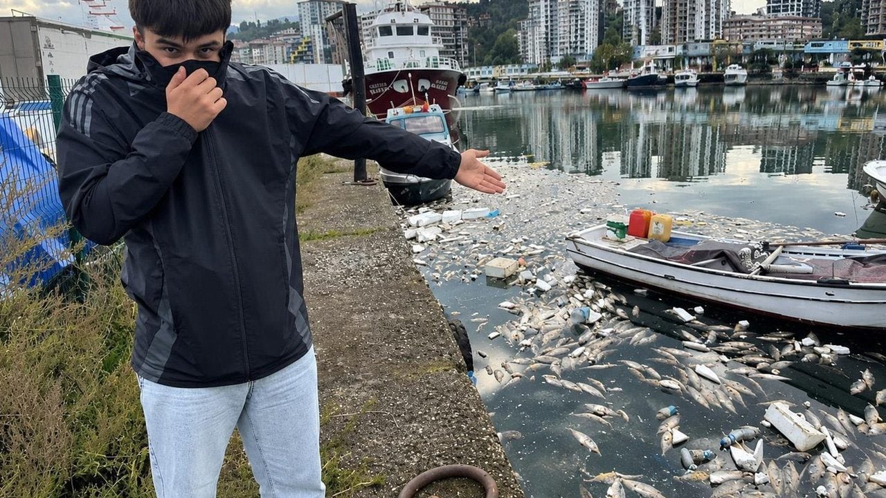Foto - Sizde hiç utanma yok mu be? Ucuz palamut tartışmaları sürerken gelen son görüntü isyan ettirdi