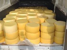 Foto - Size peynir diye bakın ne yedirmişler!