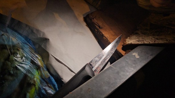 Foto - Şizofreni hastası dehşet saçtı