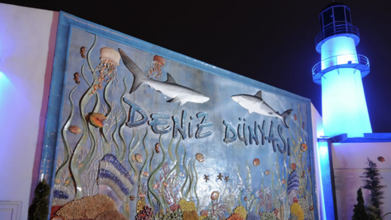 Skandala bak! 2 timsaha bakamamışlar, tül balıkları öldürmüşler: Deniz Dünyası Akvaryumu bakımsızlıktan çürüdü...