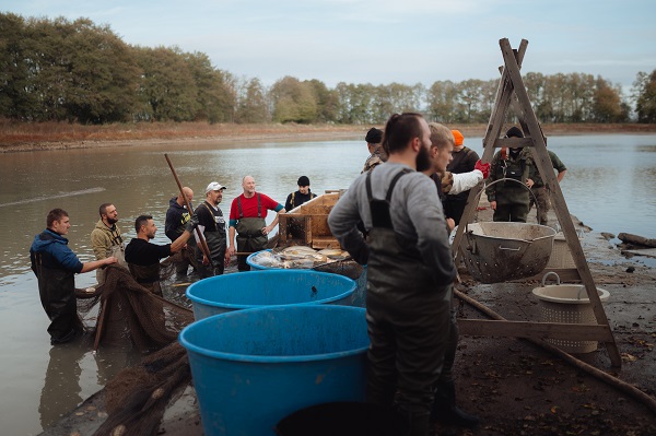 Foto - Slovakyalı balıkçıların geleneksel balık avı böyle görüntülendi