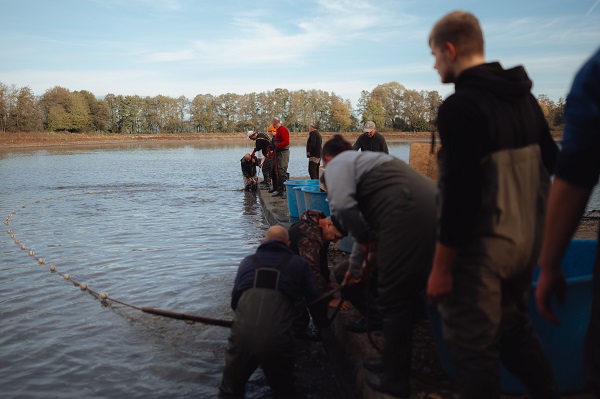 Foto - Slovakyalı balıkçıların geleneksel balık avı böyle görüntülendi