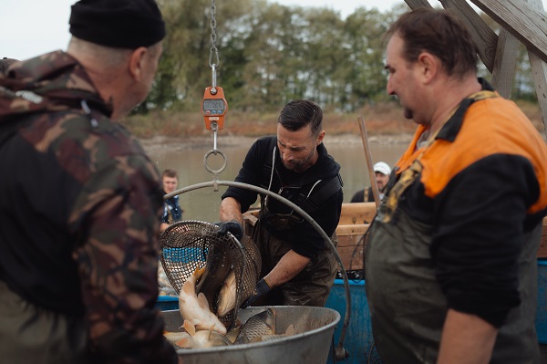 Foto - Slovakyalı balıkçıların geleneksel balık avı böyle görüntülendi