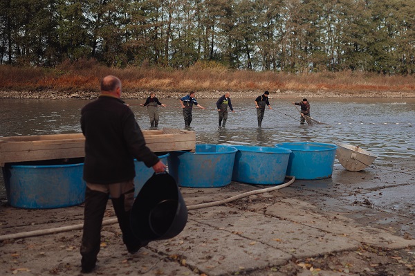 Foto - Slovakyalı balıkçıların geleneksel balık avı böyle görüntülendi
