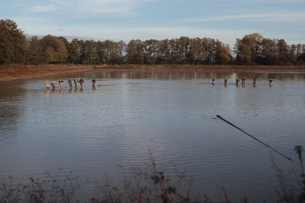 Foto - Slovakyalı balıkçıların geleneksel balık avı böyle görüntülendi