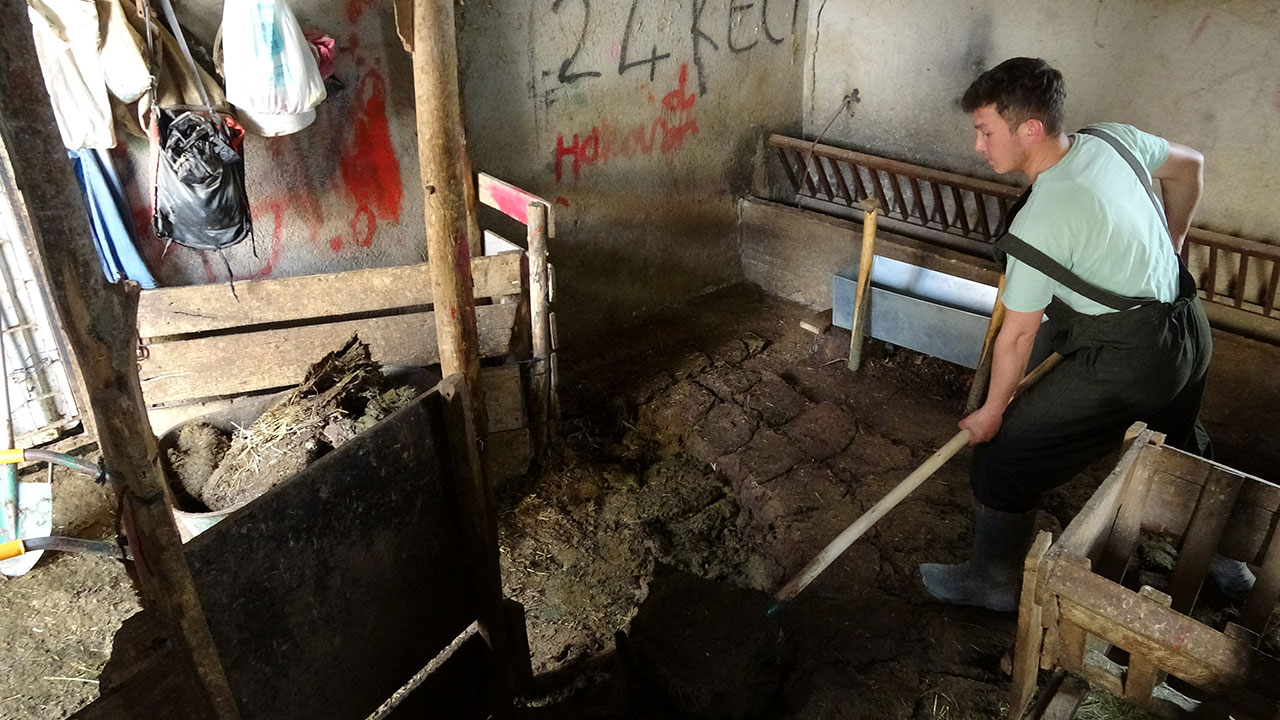 Foto - Soba delen yakıtı keşfettiler! Isınmak için 1 lira bile ödemiyorlar