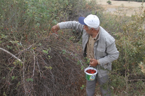 Foto - Sofralara öyle kolay gelmiyor... Şifa deposunun binbir zahmetli yolculuğu