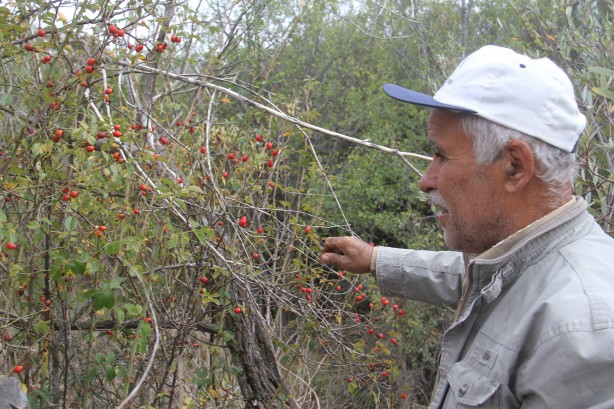 Foto - Sofralara öyle kolay gelmiyor... Şifa deposunun binbir zahmetli yolculuğu