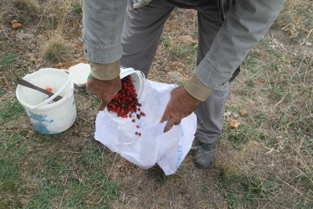 Foto - Sofralara öyle kolay gelmiyor... Şifa deposunun binbir zahmetli yolculuğu