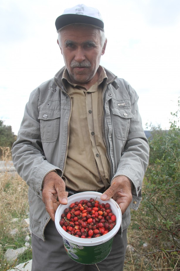 Sofralara öyle kolay gelmiyor... Şifa deposunun binbir zahmetli yolculuğu