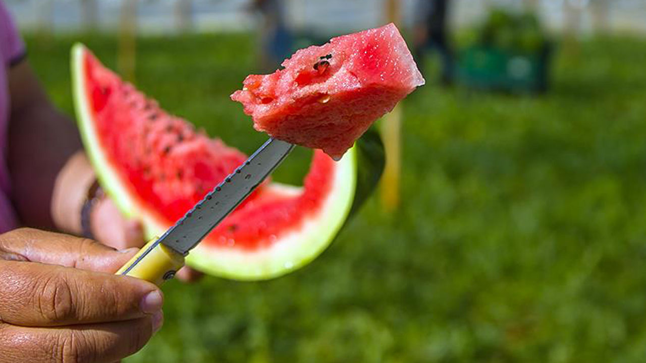 Foto - Sofralardaki gizli tehlike: Karpuzdan zehirlenebilirsiniz!