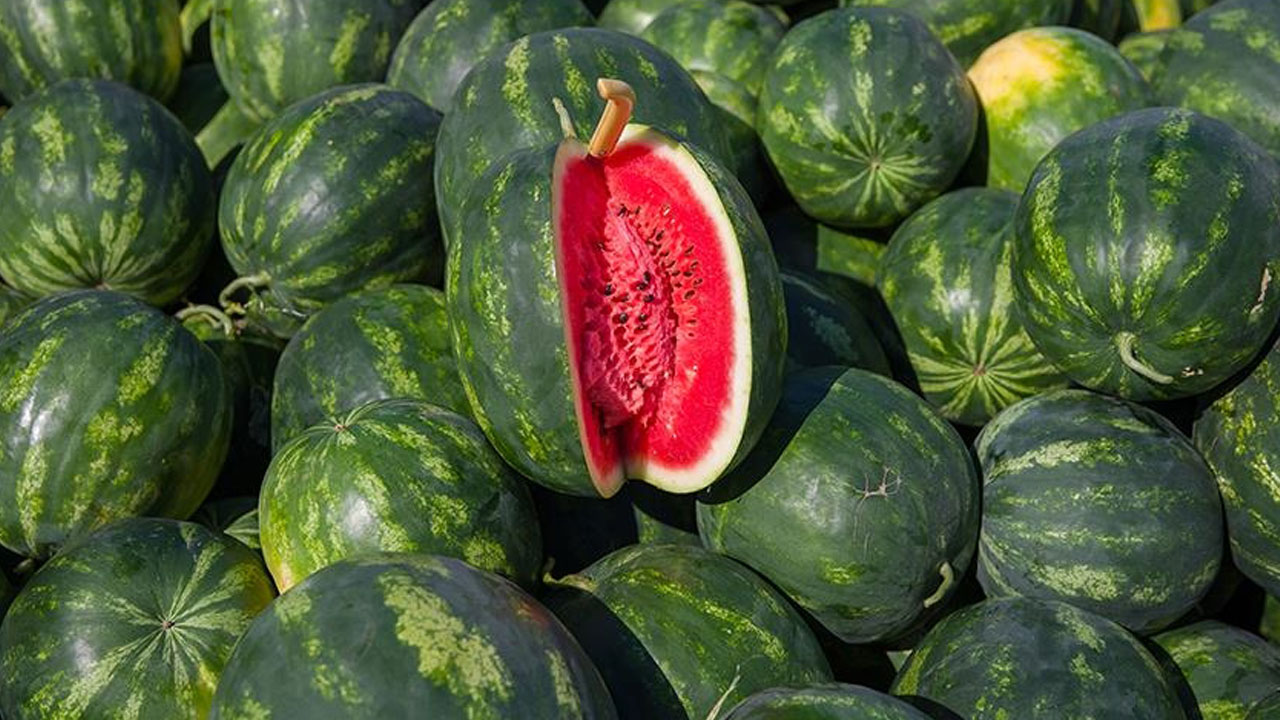 Foto - Sofralardaki gizli tehlike: Karpuzdan zehirlenebilirsiniz!