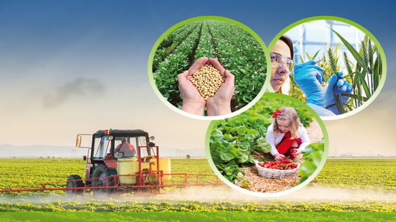 Foto - Sofralarımıza kadar giriyordu! Karar alındı: O ilaçlar artık reçete ile satılacak