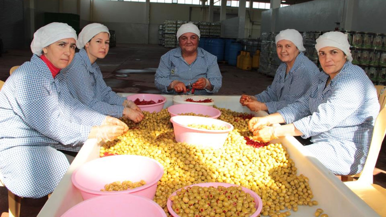 Foto - Sofralık zeytin ihracatında büyük yükseliş