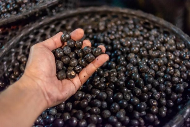 Foto - Sofranızdan eksik etmeyin! Kanser hücrelerini direkt yok ediyor