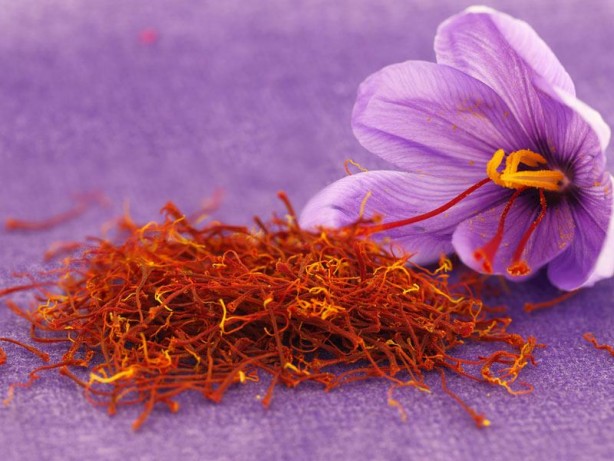 Foto - Sofranızdan sakın eksik etmeyin! Osman Müftüoğlu "Onun sadece bir çay kaşığı bile hafızayı uçuruyor" diyerek açıkladı