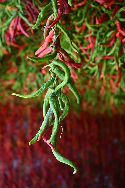 Foto - Sofraya gelmesi hiç de kolay değil! İşte, kırmızı mesai