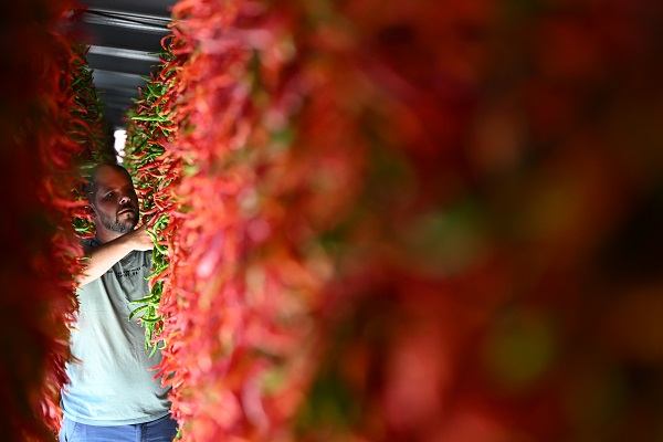 Foto - Sofraya gelmesi hiç de kolay değil! İşte, kırmızı mesai