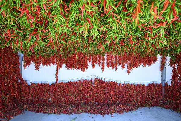 Foto - Sofraya gelmesi hiç de kolay değil! İşte, kırmızı mesai