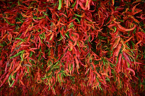 Foto - Sofraya gelmesi hiç de kolay değil! İşte, kırmızı mesai