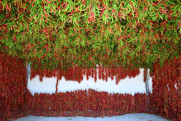 Foto - Sofraya gelmesi hiç de kolay değil! İşte, kırmızı mesai