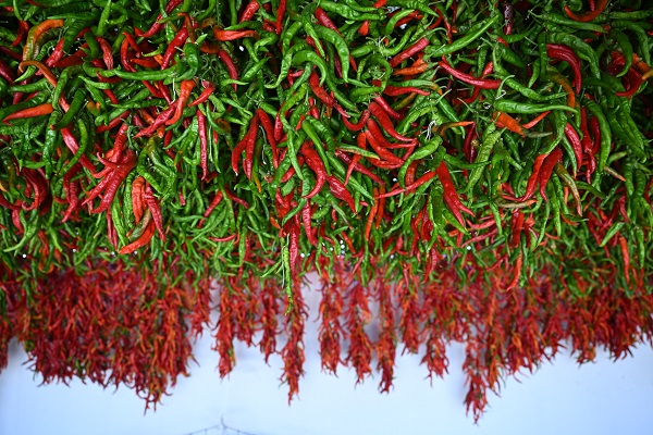 Foto - Sofraya gelmesi hiç de kolay değil! İşte, kırmızı mesai