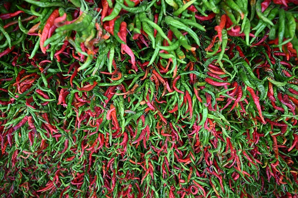 Foto - Sofraya gelmesi hiç de kolay değil! İşte, kırmızı mesai